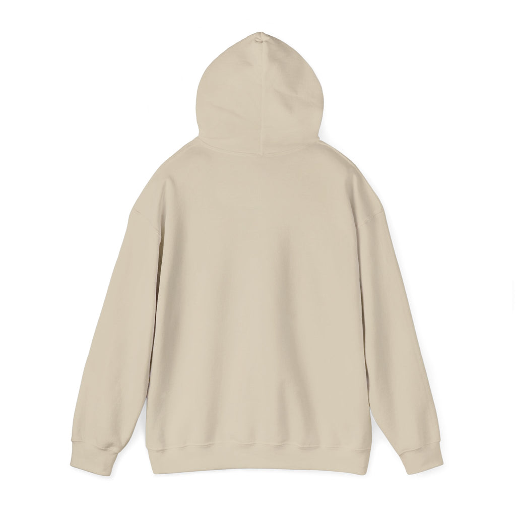 Memorial Day USA 250 Hoodie | 1776–2026 Vintage Distressed Patriotic