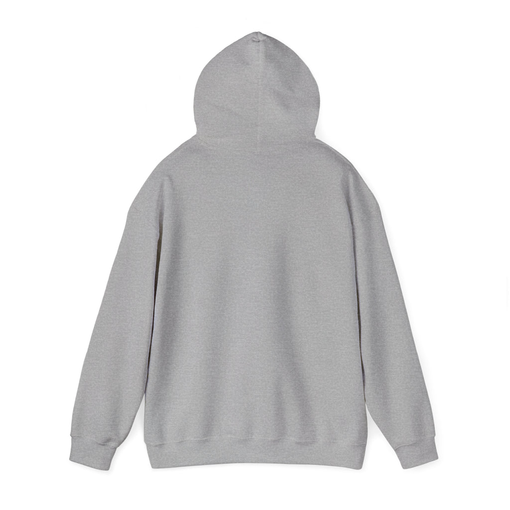 Memorial Day USA 250 Hoodie | 1776–2026 Vintage Distressed Patriotic
