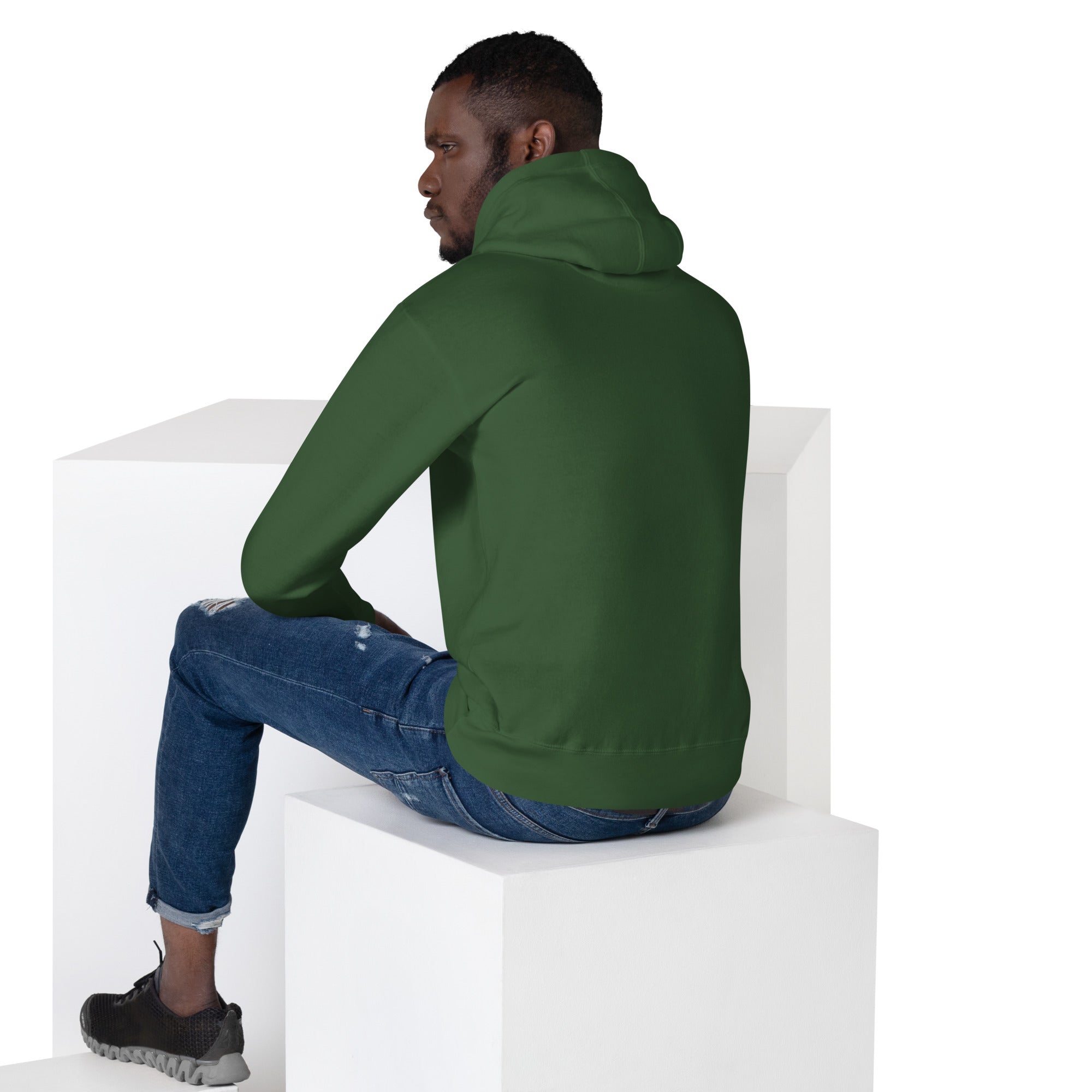 Unisex Premium Hoodie - Eagle Stare with US Flag