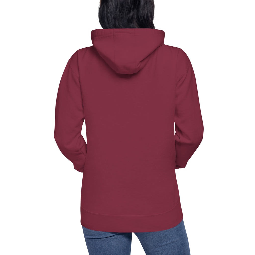 Unisex Premium Hoodie - Eagle Stare with US Flag